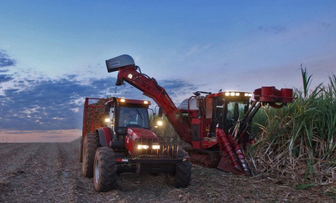 FAO: Dünyada ərzaq qiymətləri artmağa davam edəcək